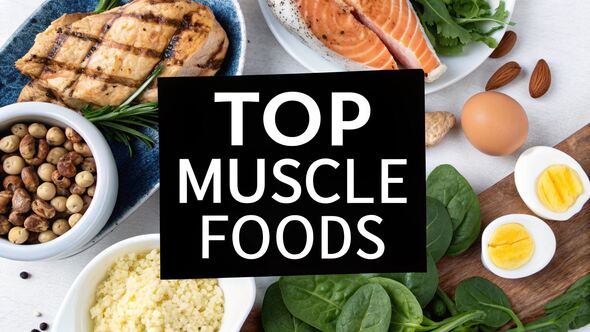 best foods for muscle